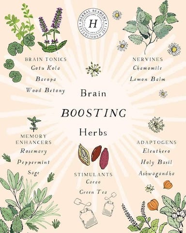 Healing Herbs